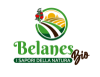 logo belanes e1772469365200